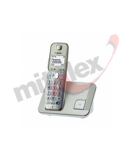 Telefon Panasonic KX-TGE210FXN