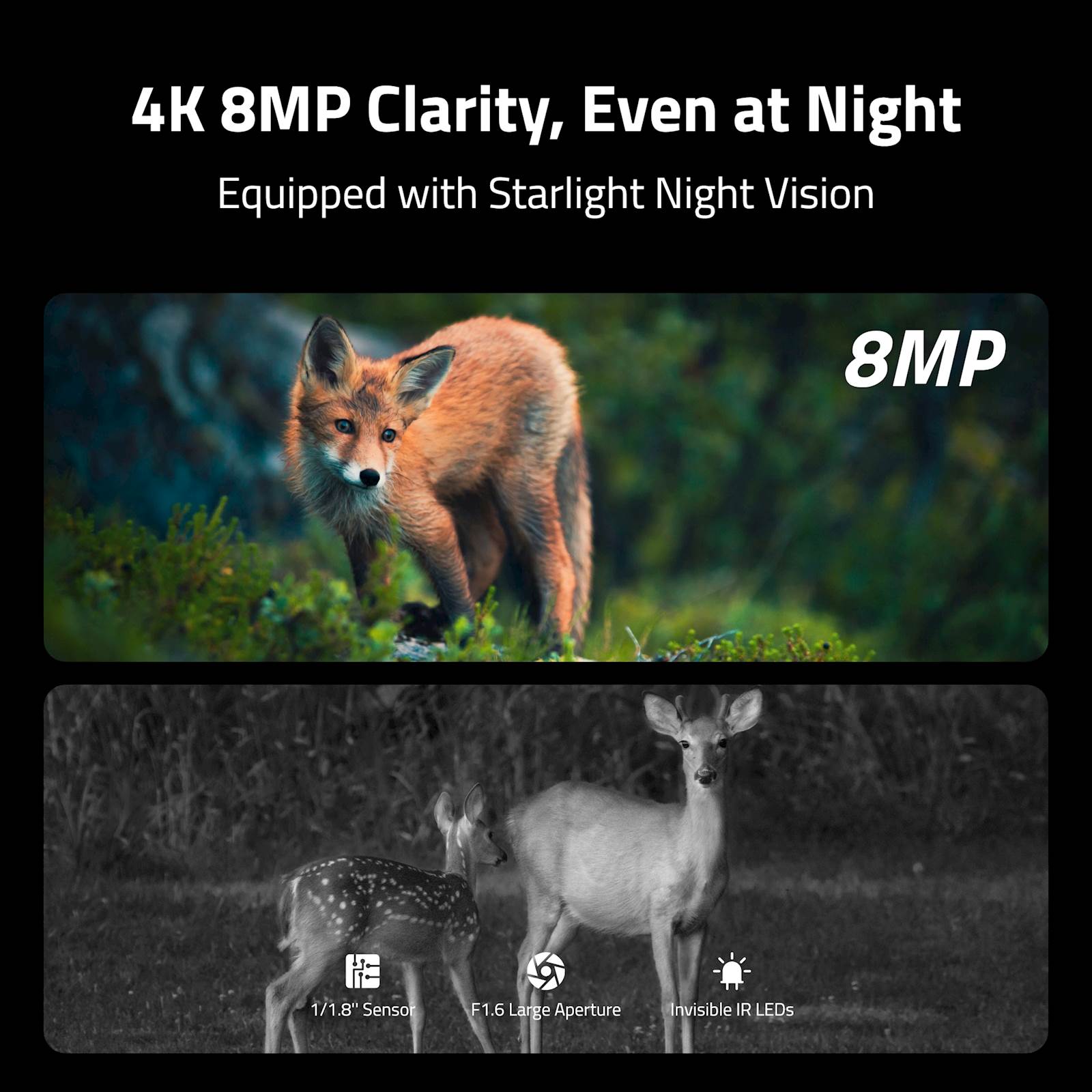 Reolink IP kamera Camovue Talon Serija S130 LTE/GPS, AAA baterije, prepoznaje 12 vrsta životinja - Image 4